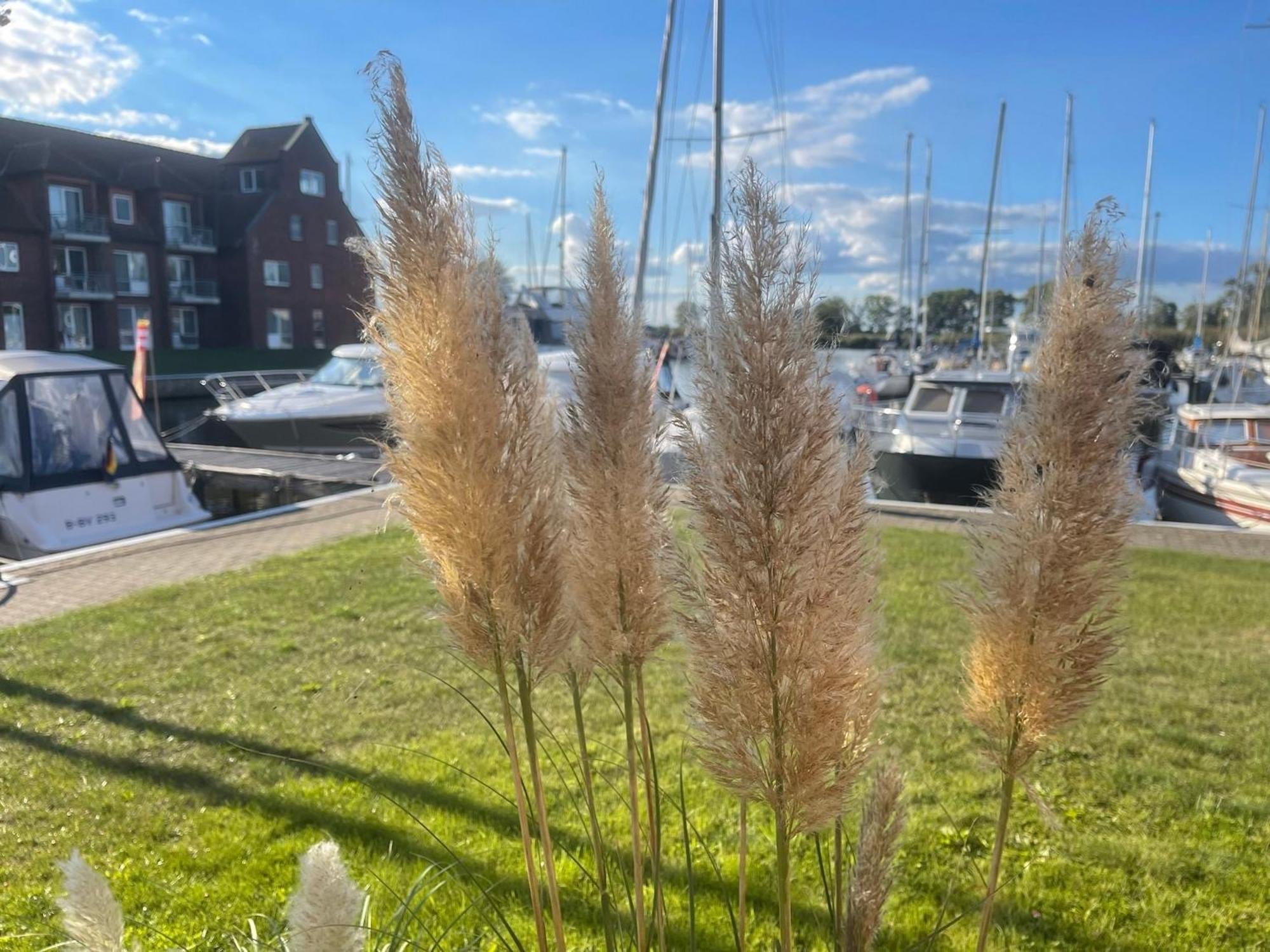 Lagunenstadt Am Haff Fewo 80 - Kai Apartamento Ueckermünde Exterior foto